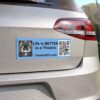 TheatreSTL Car Magnet