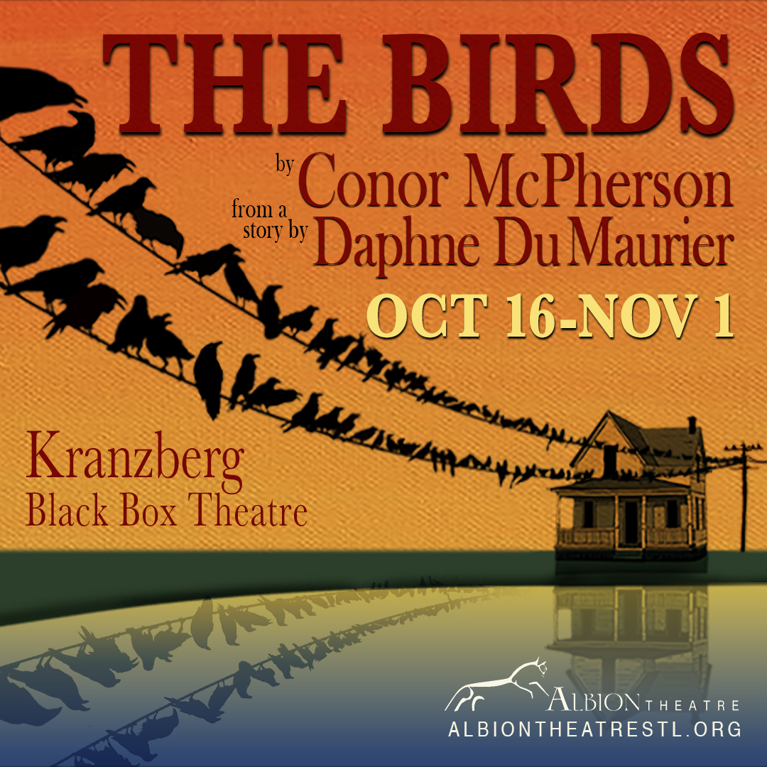 The Birds